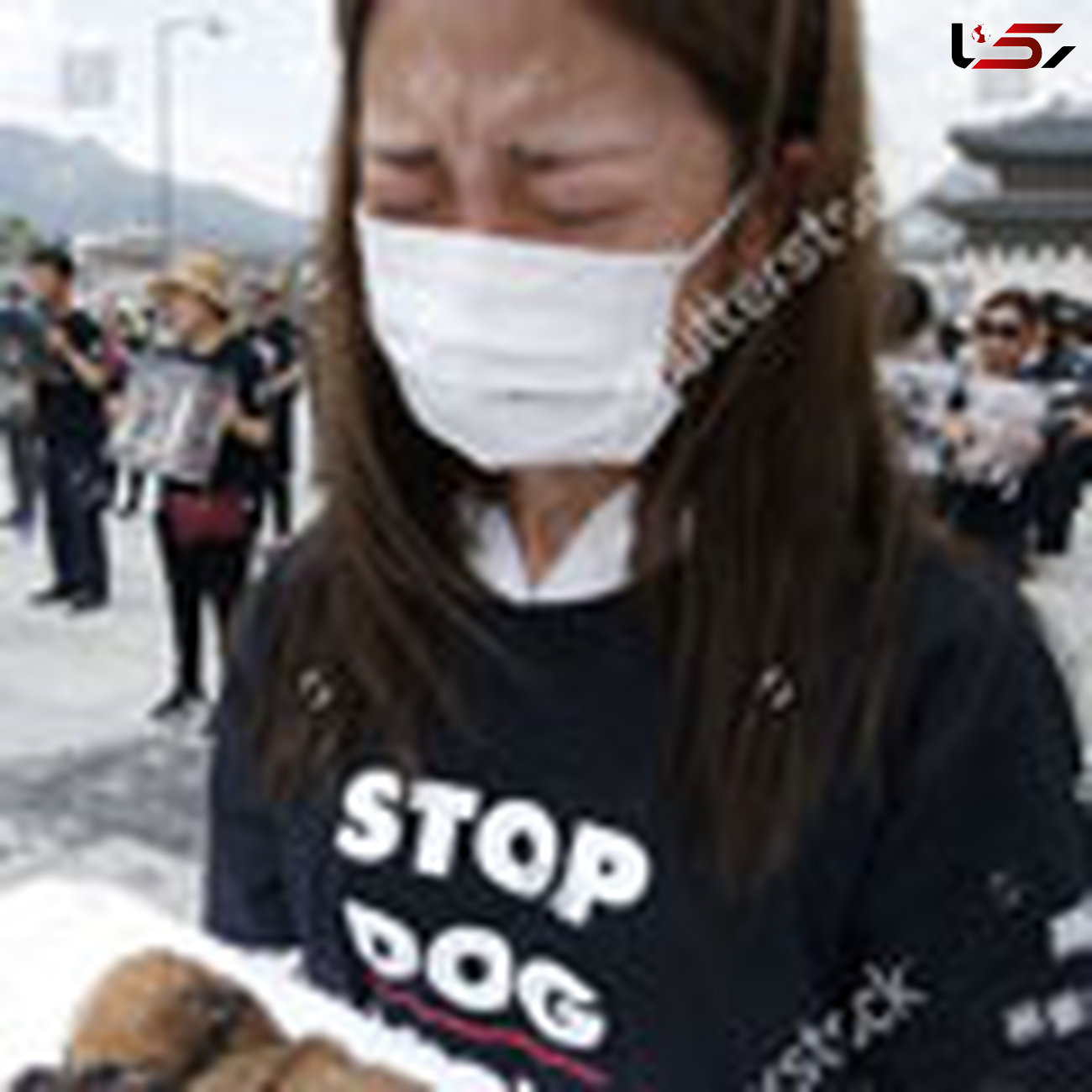 تظاهرات ضد «سگ‌خوری» در کره‌جنوبی! 