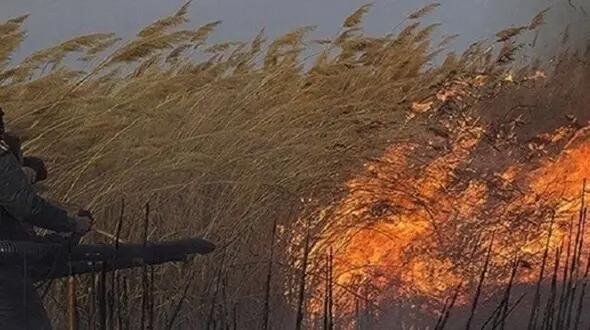آتش در هورالعظیم