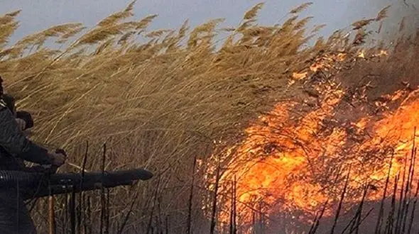سازمان حفاظت محیط زیست درباره هورالعظیم: دیگر تصمیم‌گیری مقطعی نمی‌کنیم /بدون تصویر کلی  مجوزی صادر نخواهد شد!+ فیلم