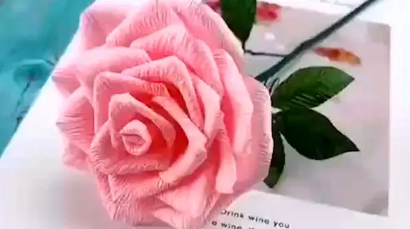 این گل های رز رنگارنگ با کاغذ درست شده اند + فیلم