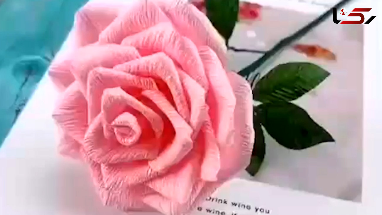این گل های رز رنگارنگ با کاغذ درست شده اند + فیلم