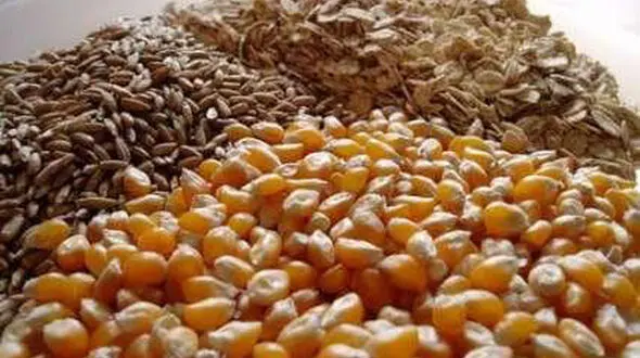 آخرین قیمت نهاده‎های دامی و کشاورزی