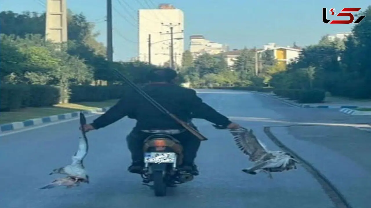 بازداشت شکارچی بی رحم در بابلسر / عکس شکارش پخش شده بود + جزییات