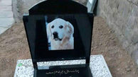 مراسم لاکچری برای خاکسپاری یک سگ در مسجد سنگر رشت ! + عکس