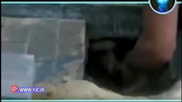 صدای ناله سوزناک از زیر زمین یک خانه / شوکه شدن یک مرد پس از کندن زمین+ فیلم