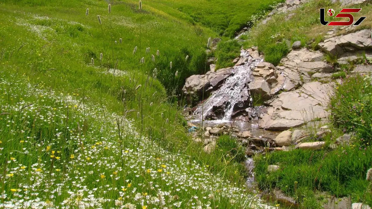 ببینید / طبیعت زیبا ارشد چمن کندوان + فیلم 