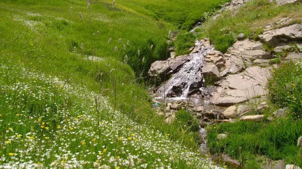 ببینید / طبیعت زیبا ارشد چمن کندوان + فیلم 