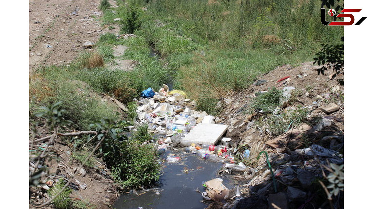 هشدار برای آبیاری مزارع جنوب تهران با فاضلاب/ درخواست کمک از دادستان تهران برای حل این معضل