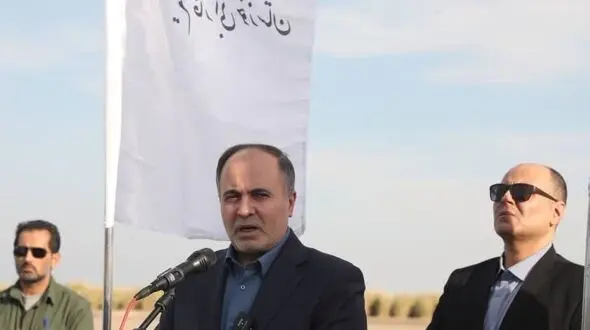 خرمای ایران مشتری جهانی دارد/با حداکثر توان آن را توسعه دهیم