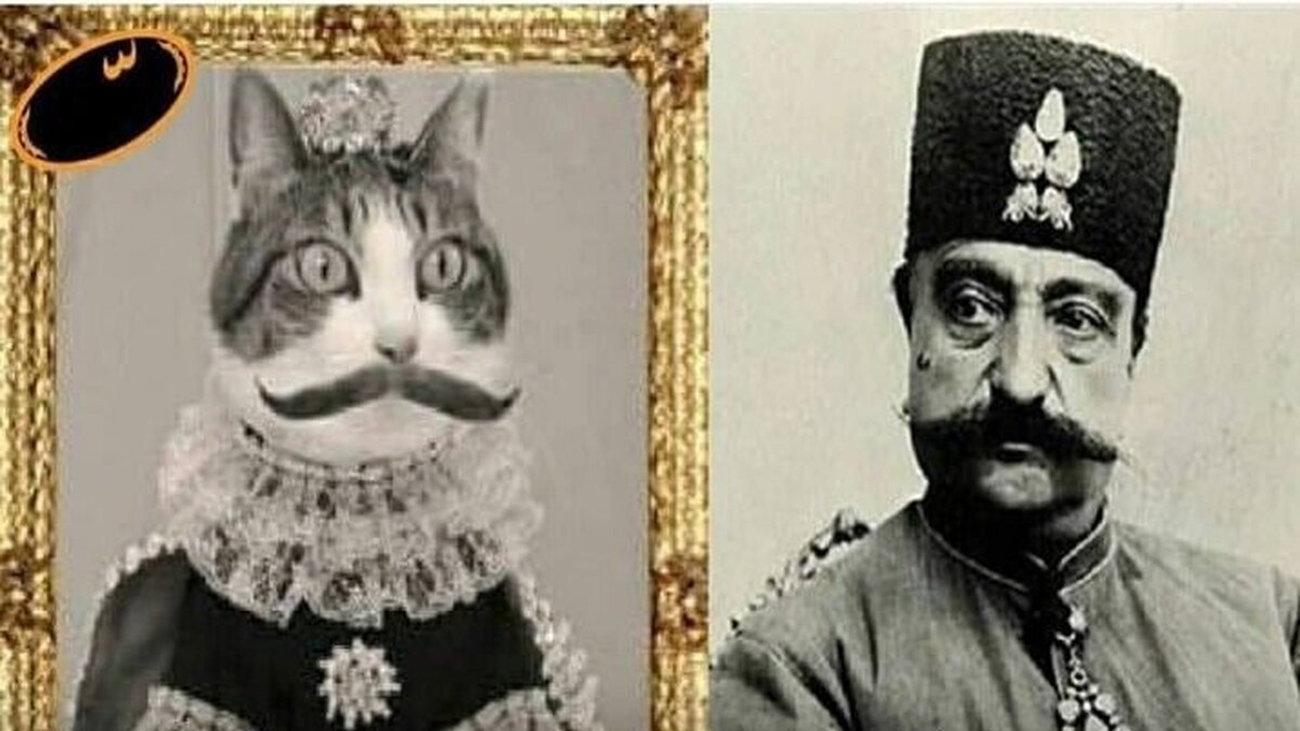 ببری خان مشهورترین گربه تهران را بشناسید ! / غذاهای اعیانی اش حیرت آور است !