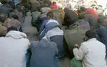 سازمان ملل به کمک معتادان متجاهر آمد / کمترین ابتلا به کرونا در میان معتادان ایرانی 