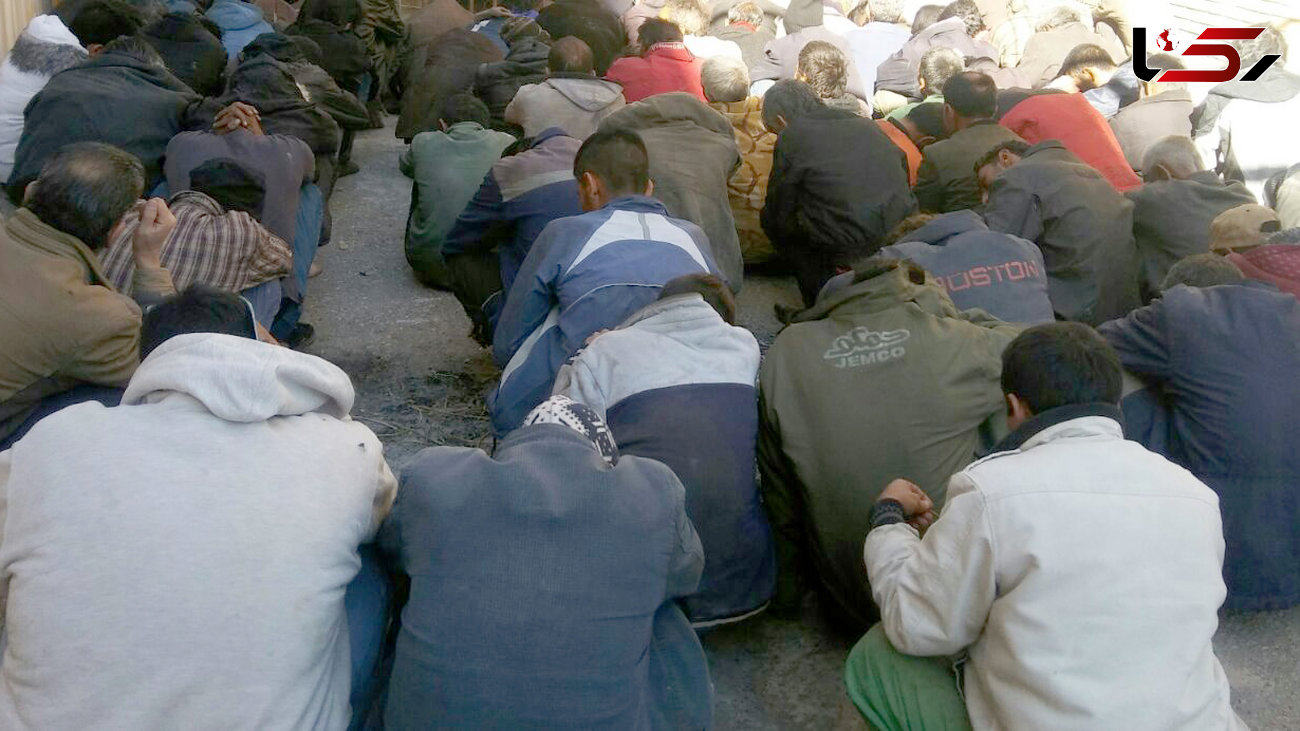 6 هزار معتاد متجاهر از سطح تهران جمع آوری شدند