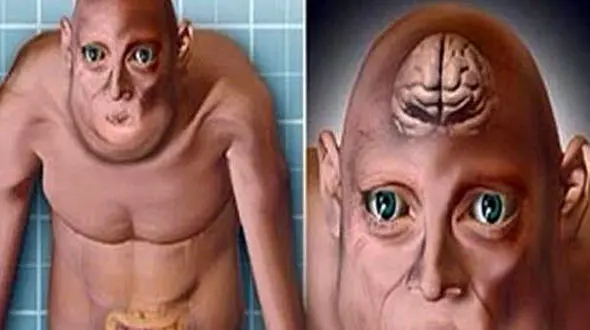 قیافه انسان در 3000 سال دیگر این شکلی می شود+عکس