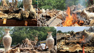 سوزاندن انبار پوست ببر و شاخ کرگدن در نپال/درحمایت از حیات وحش صورت گرفت +عکس