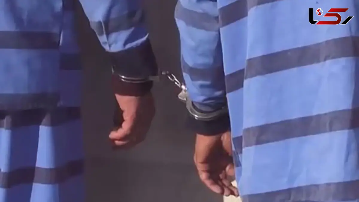 زاغ زنان خانه های خالی تهران در آخرین نقشه ناکام ماندند/ پلیس وارد عمل شد