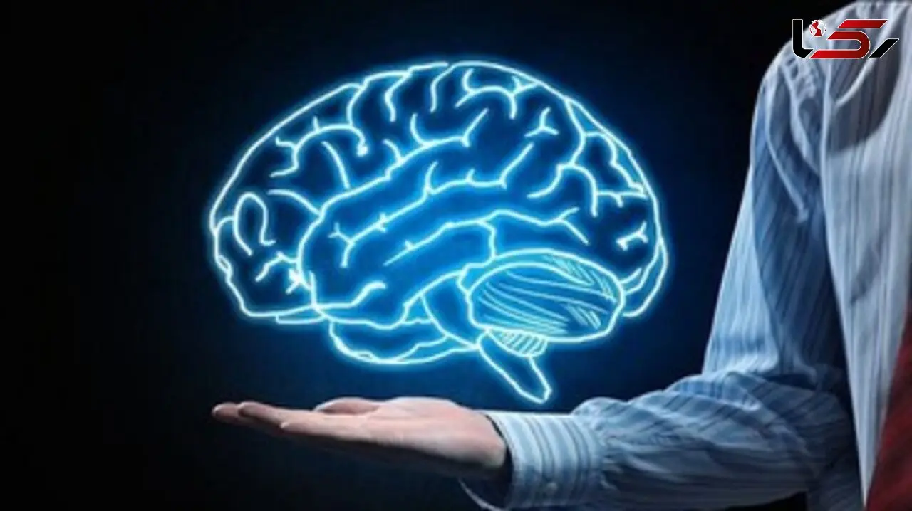 آیا می‌دانید نخستین دوره پیری مغز در چه سنی آغاز می‌شود؟