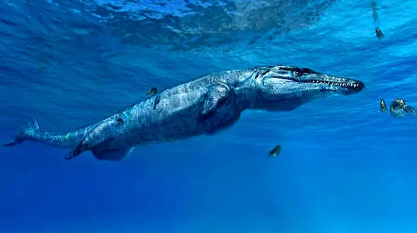 کشف فسیل ترسناک  تمساح دریایی