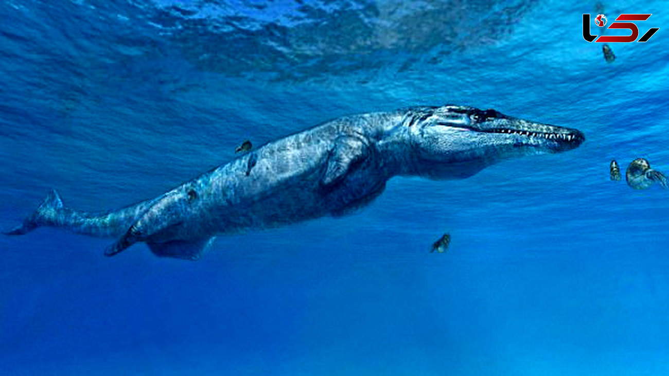 کشف فسیل ترسناک  تمساح دریایی
