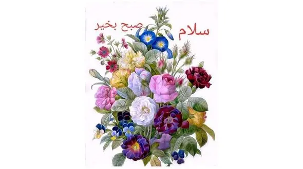 فال ابجد امروز / 13 تیر ماه + فیلم 