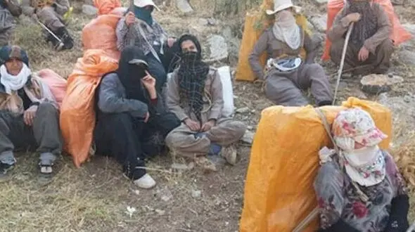 کولبر 23ساله: از وعده های بی عمل خسته نشدید؟ اینجا کار نیست/ 50 درصد کولبران مدرک دانشگاهی دارند / از طرح  ساماندهی کولبری چه خبر؟ + فیلم