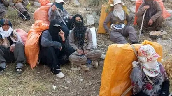 کولبر 23ساله: از وعده های بی عمل خسته نشدید؟ اینجا کار نیست/ 50 درصد کولبران مدرک دانشگاهی دارند / از طرح  ساماندهی کولبری چه خبر؟ + فیلم