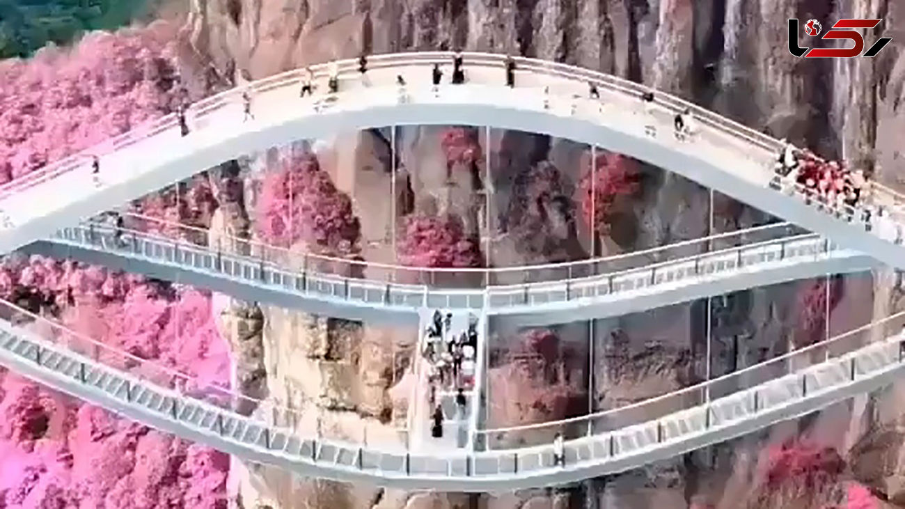 عجیب ترین پل در جهان + فیلم