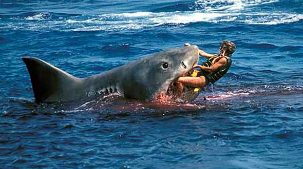 Man killed in shark attack in Western Australia state