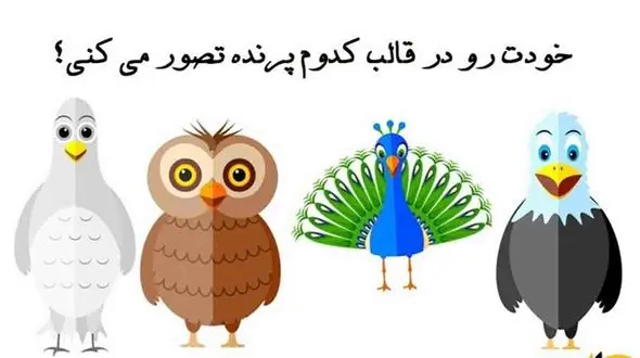 تست: برای شناخت شخصیت خودتان یک پرنده انتخاب کنید ! 