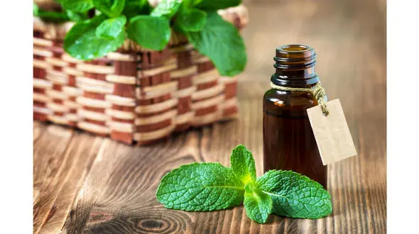  سبزی شگفت انگیزی  با هزار و یک خاصیت 