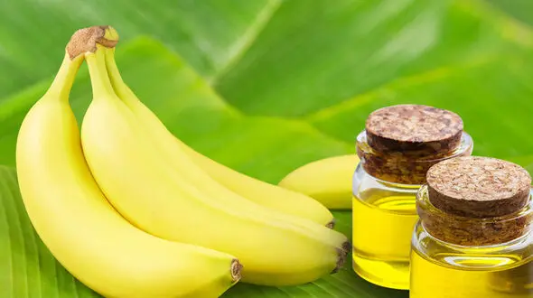 میوه ای پر خاصیت برای نوزادان