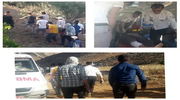 حمله خرس وحشی به چوپان ۲۲ ساله در ناغان +عکس