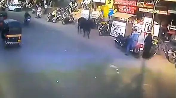 لحظه پرتاب شدن یک زن به هوا وسط خیابان + فیلم