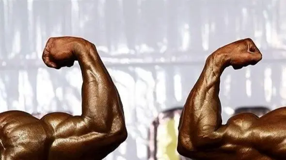 فیلم/ درگیری در مسابقات پرورش اندام قهرمانی کشور