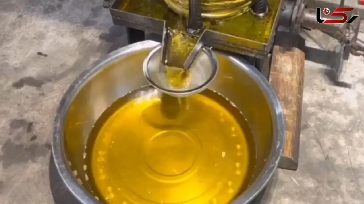 روش گرفتن روغن آفتابگردان + فیلم