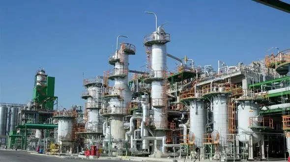 مدعی‌العموم به پرونده سهام‌دار خارجی پتروشیمی «مهر» ورود کند /گم شدن ۵ هزار میلیارد تومان ارز صادراتی!