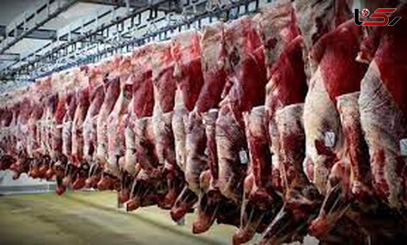 بیش از ۱۶ هزار تن گوشت قرمز در قزوین تولید شده است