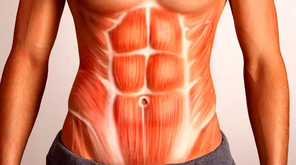 سیکس پک زنان چیست؟ / سیکس پک دخترانه چگونه است