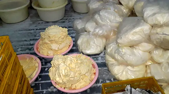 پلمب یک کارگاه غیر مجاز تولید کره حیوانی در نیشابور