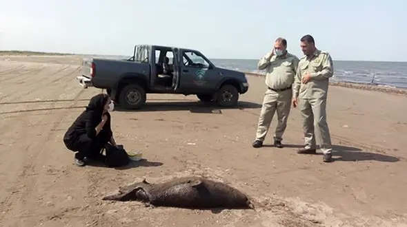 عکس صحنه دلخراش در ساحل کیاشهر