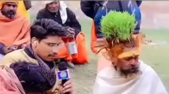 سر این مرد شالیزار برنج شده + فیلم