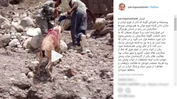 واکنش اداره کل حفاظت محیط زیست هرمزگان به پست اینستاگرامی پرویز پرستویی