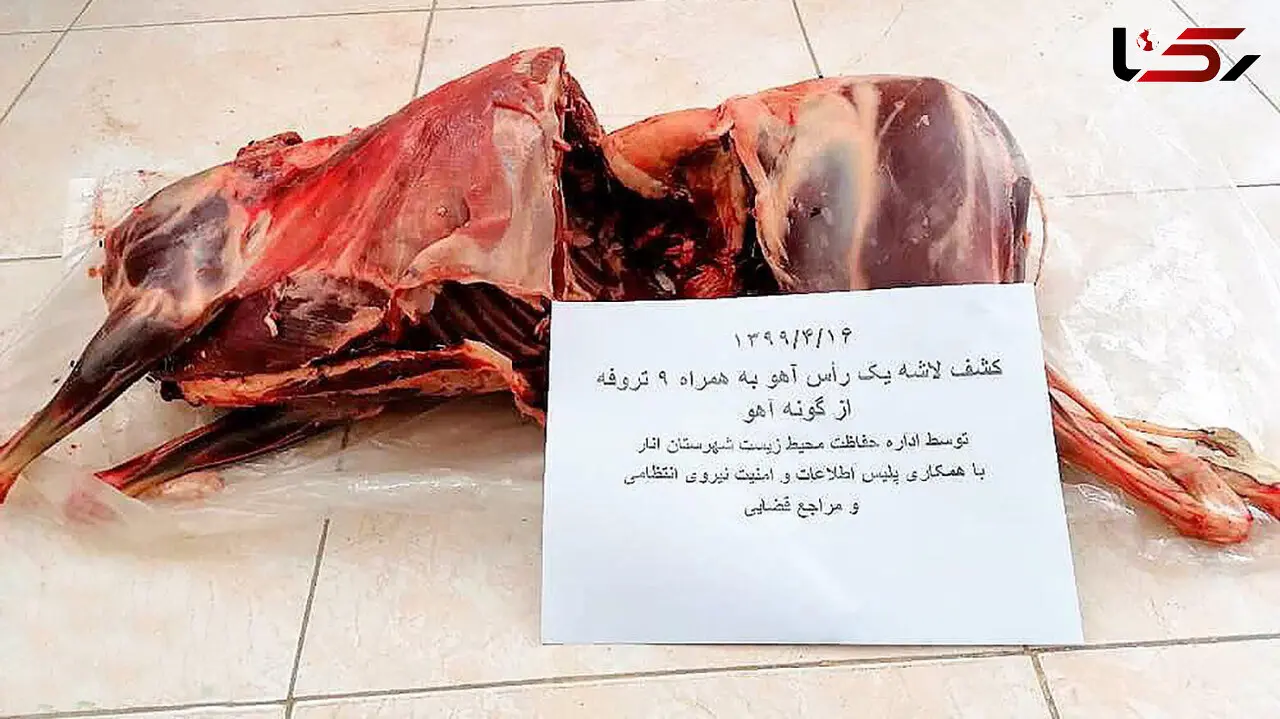 عامل کشتار ده آهو در انار کرمان دستگیر شد
