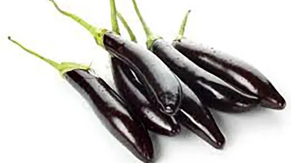 پوست بادمجان را دور نریزید!