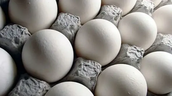 بازداشت بخاطر تخم مرغ ! / عجیب ترین جرم یک مرد ! + فیلم