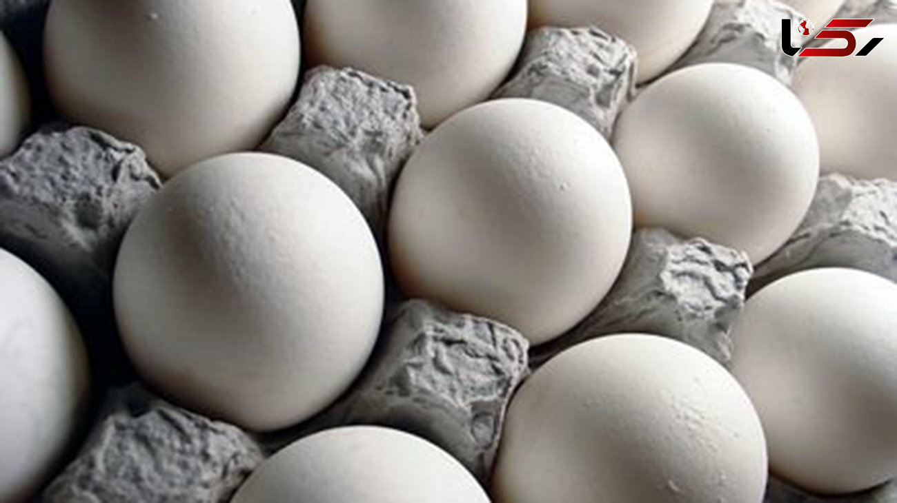 آخرین قیمت تخم مرغ در میادین و بازارهای میوه و تره بار