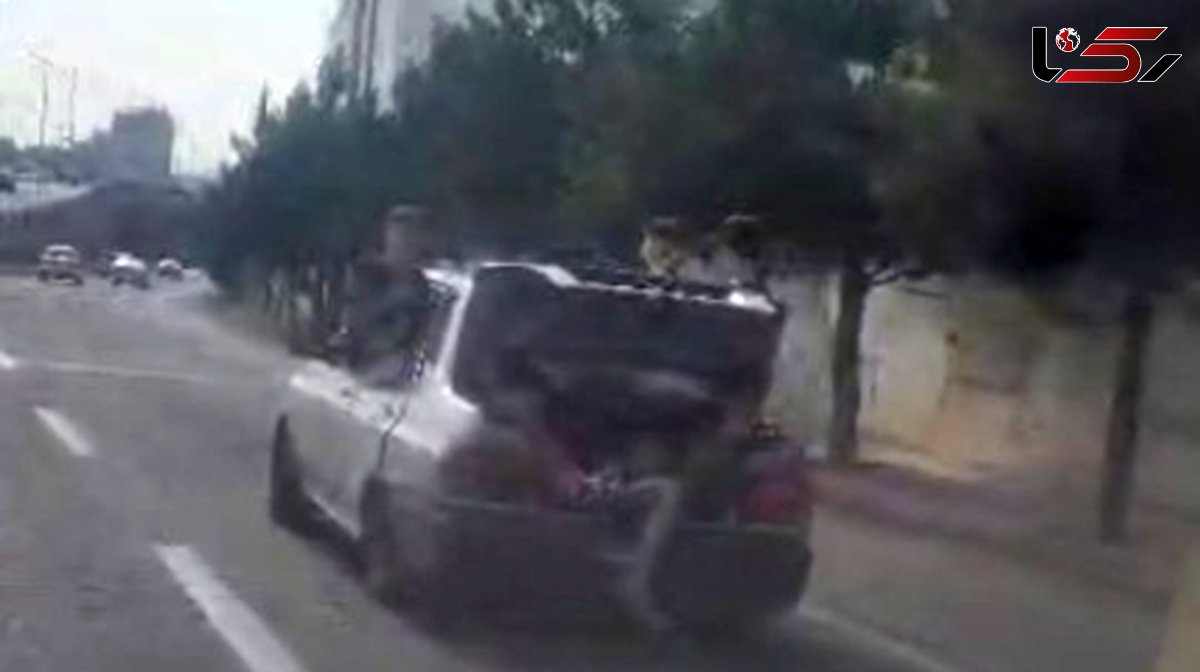 فیلم / حرکت خطرناک راننده پراید برای حمل تعداد زیادی بچه در اتوبان تبریز / جا نشده دوتاشون رفتن صندوق عقب / جان کودکان را به چه کسی سپرده ایم؟