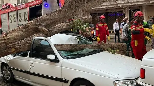 باد شدید مرد بندرعباسی را به خاک سیاه نشاند + تصاویر