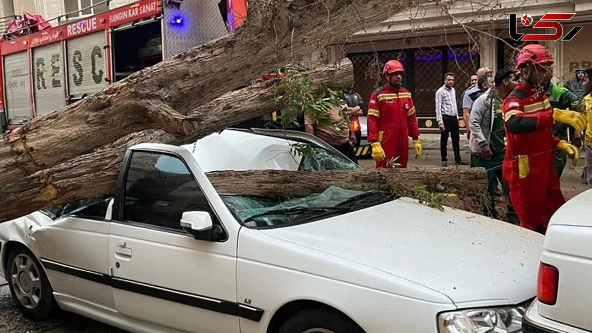 باد شدید مرد بندرعباسی را به خاک سیاه نشاند + تصاویر