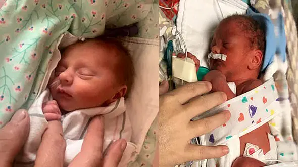 تولد دوقلوهای افسانه ای در ایندیانا +عکس