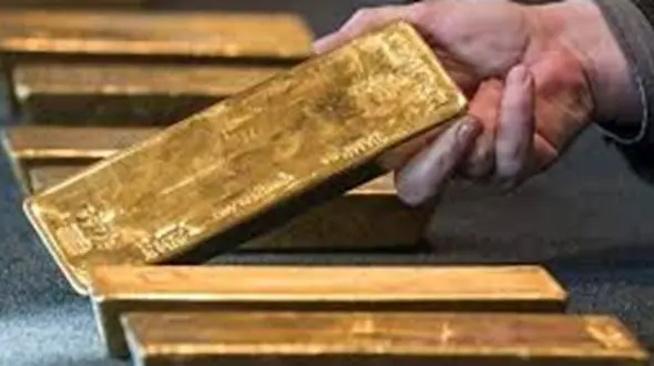 این دختر یک شبه میلیاردر شد + فیلم  شمش طلای بادآورده !